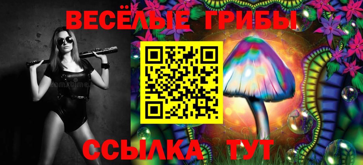 Кумертау  Галлюциногенные грибы Magic Shrooms  Вход с VPN 