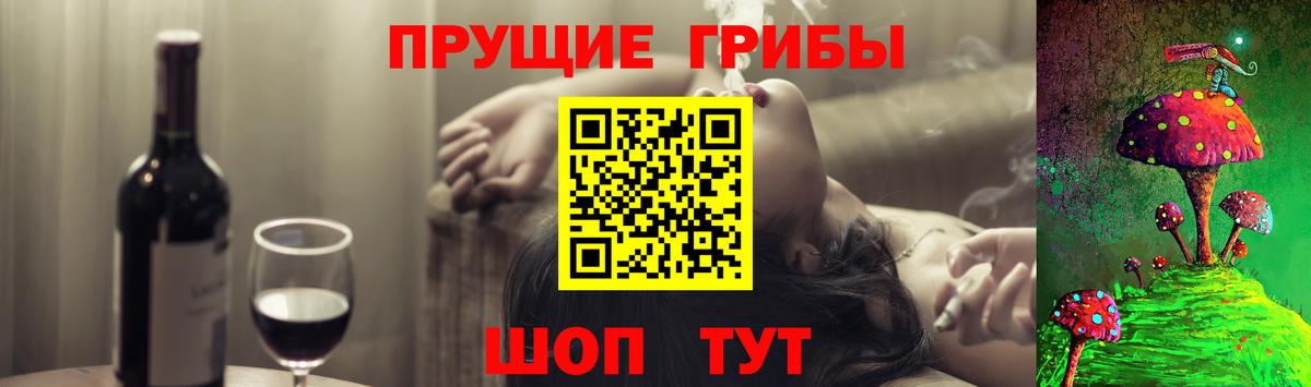 Псилоцибиновые грибы Psilocybe Кумертау